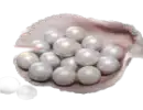 1800 Echo Beads
